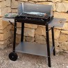 Aktive 52973 - Barbacoa carbón y leña