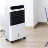 Climatizador evaporativo cecotec 6500