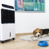 Climatizador evaporativo cecotec 6500