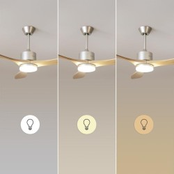 Ventilador de techo EnergySilence Aero 5290 Golden Pro