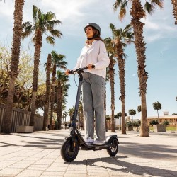 Bongo D20 XL Connected