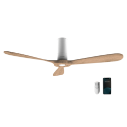 Ventilador de techo...