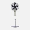Ventilador De Pie Circus Beis/negro