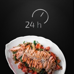 Olla Programable Modelo H Ovall