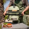 Barbacoa dragonfire 3200