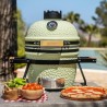 Barbacoa dragonfire 3200