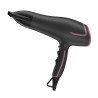 SECADOR PROF.IONICO 2000w. NEGRO