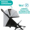 Silla de paseo