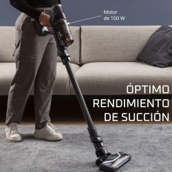 Aspirador vertical