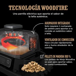 Parrilla electrica