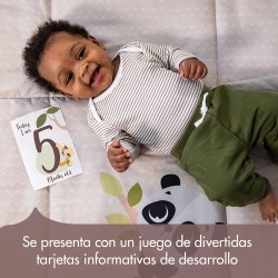 Gimnasio infantil