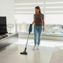 Aspirador vertical 1500 Ray pure