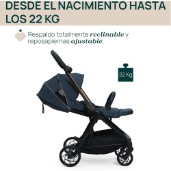 Silla de paseo azul