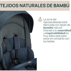 Silla de paseo azul