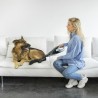 Aspirador de mano conga popstar micro 18,5v animal hand